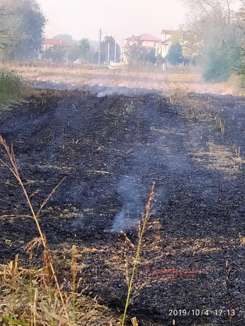 Anız yakanlara para cezası uygulanacak