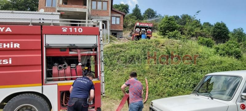 Anız yakmak istedi Fındık bahçesine sıçradı