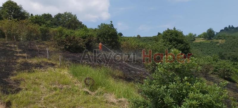 Anız yakmak istedi Fındık bahçesine sıçradı