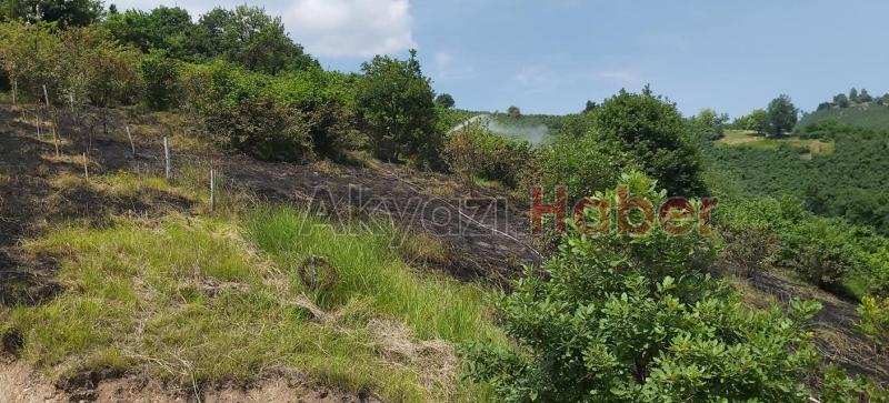 Anız yakmak istedi Fındık bahçesine sıçradı