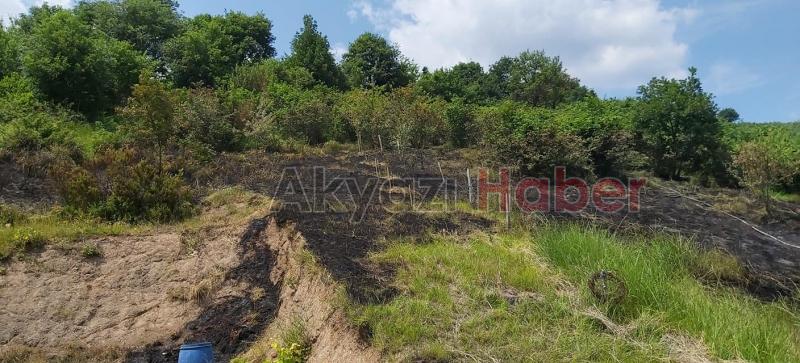 Anız yakmak istedi Fındık bahçesine sıçradı