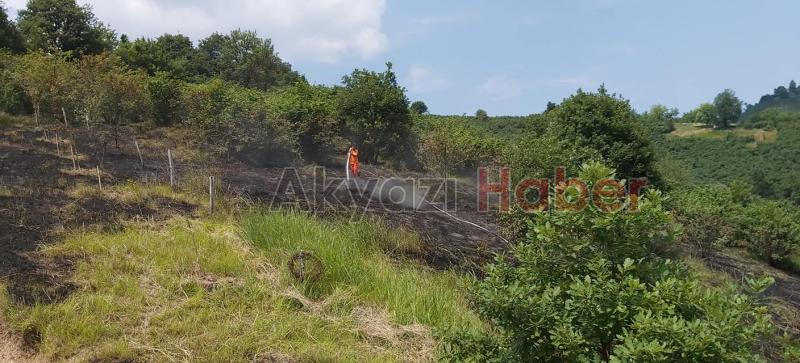 Anız yakmak istedi Fındık bahçesine sıçradı