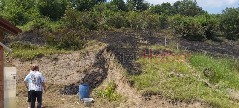 Anız yakmak istedi Fındık bahçesine sıçradı