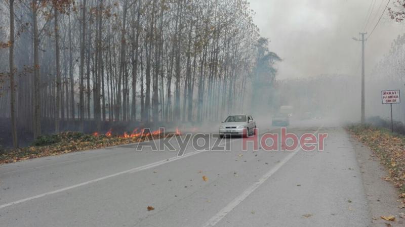 ANIZ YANGINLARI ZARAR VERMEYE DEVAM EDİYOR
