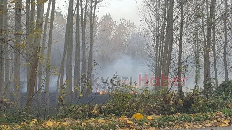 ANIZ YANGINLARI ZARAR VERMEYE DEVAM EDİYOR