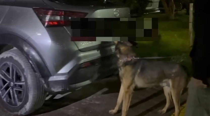 Araçtan on binlerce sentetik hap çıktı