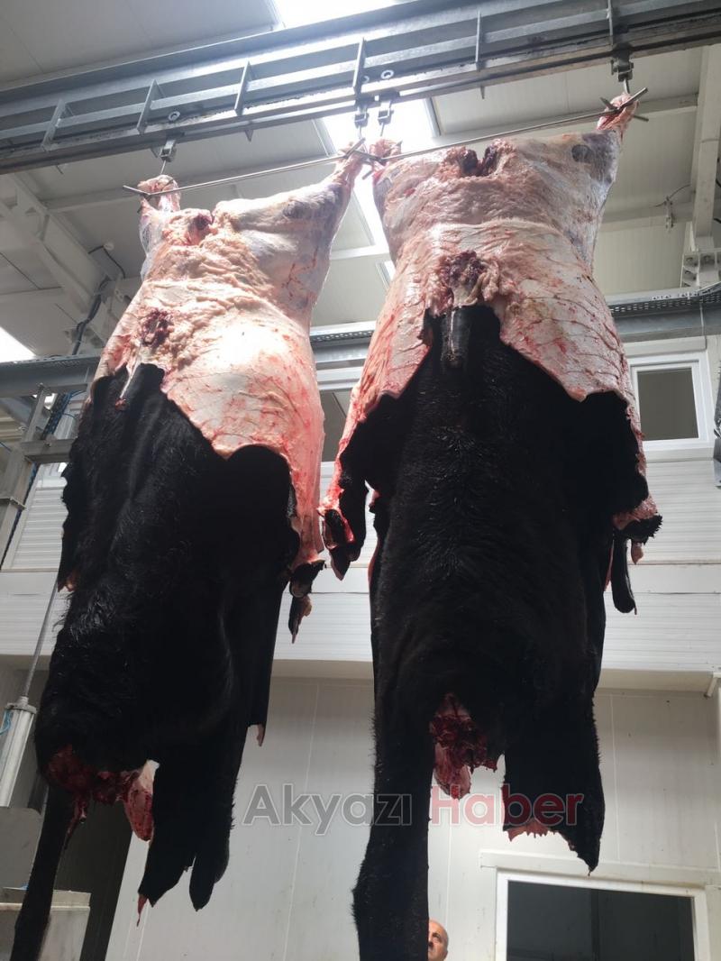 Armağan Furuncu Birinciliği Kimseye Kaptırmıyor