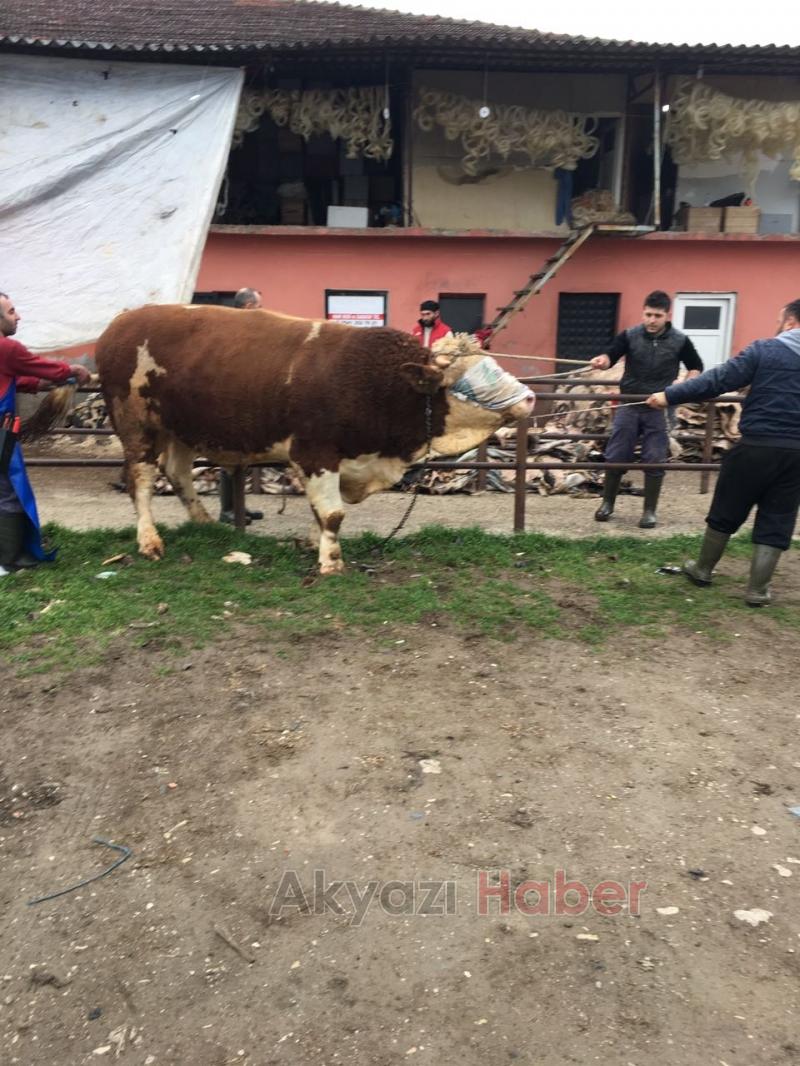 Armağan Furuncu Birinciliği Kimseye Kaptırmıyor