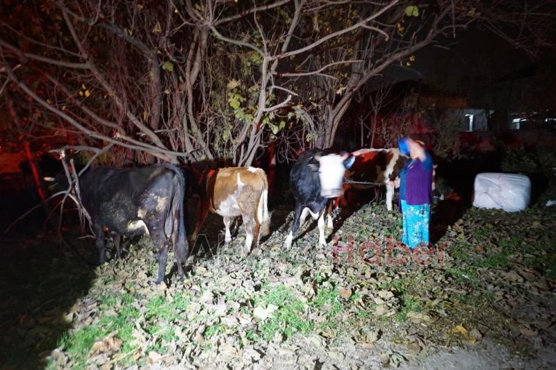  ATÖLYE VE SAMANLIK YANGINI KORKUTTU