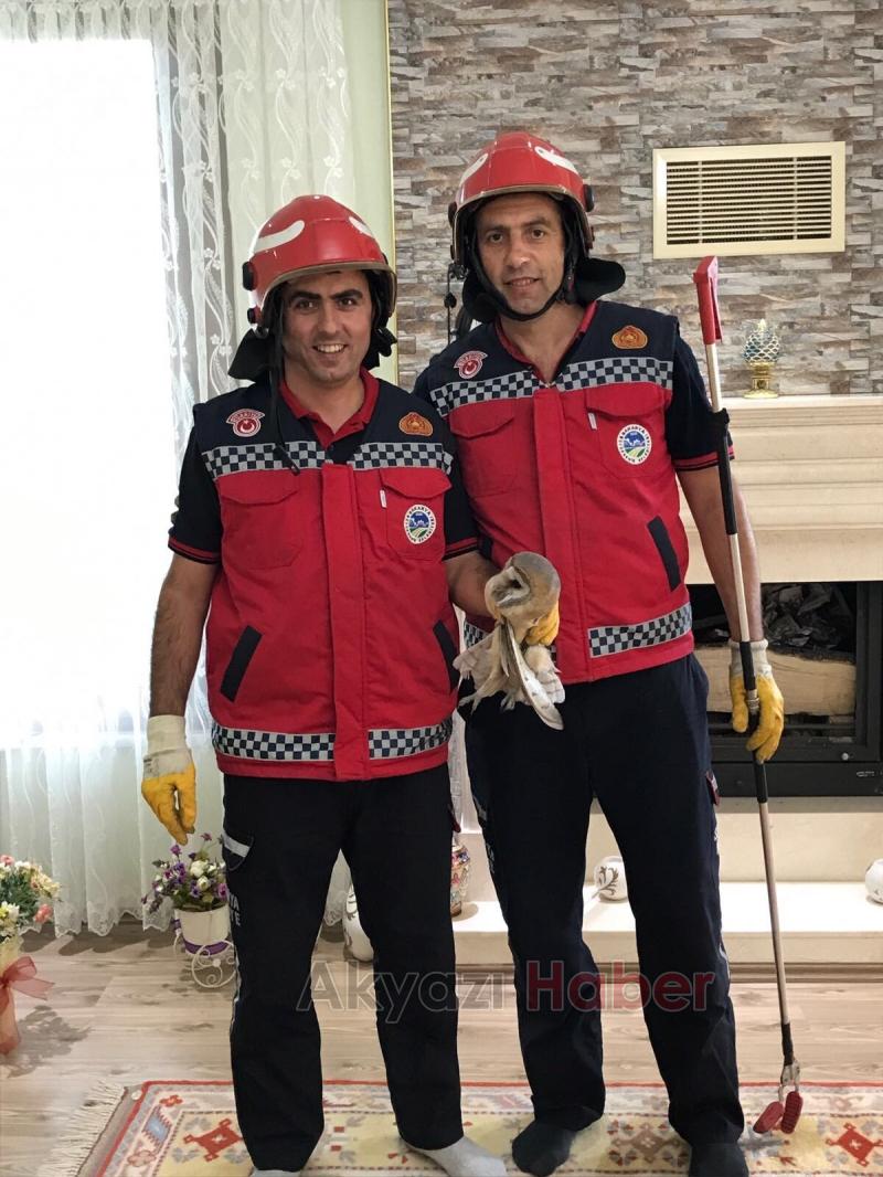 Bacaya Sıkışan Kuş İtfaiye Ekiplerince Kurtarıldı 
