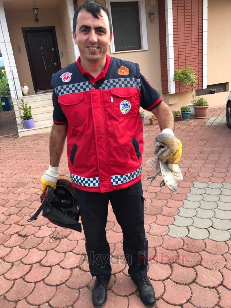 Bacaya Sıkışan Kuş İtfaiye Ekiplerince Kurtarıldı 