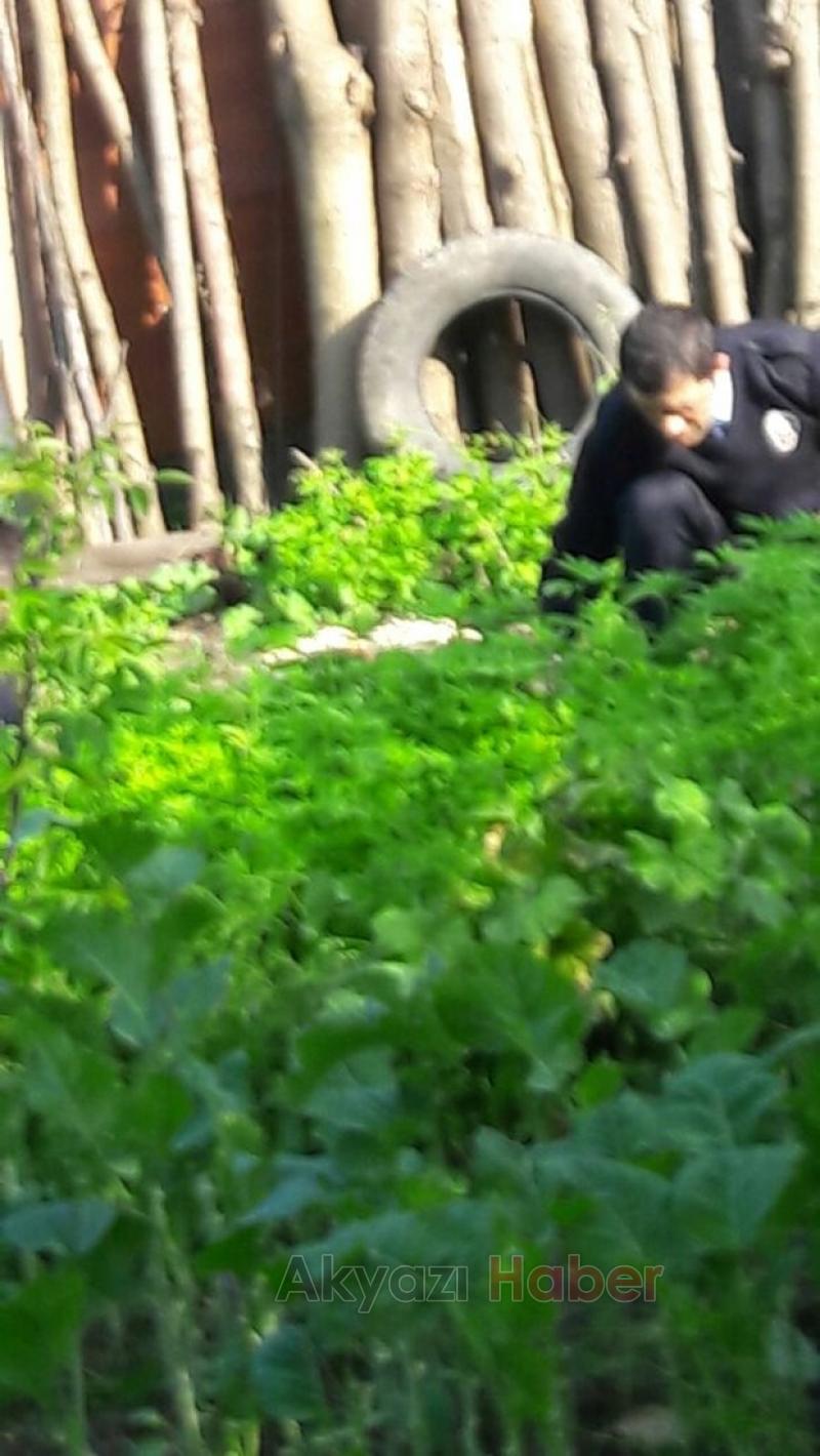 Bahçede 1840 Kök Kenevir Ele Geçirildi