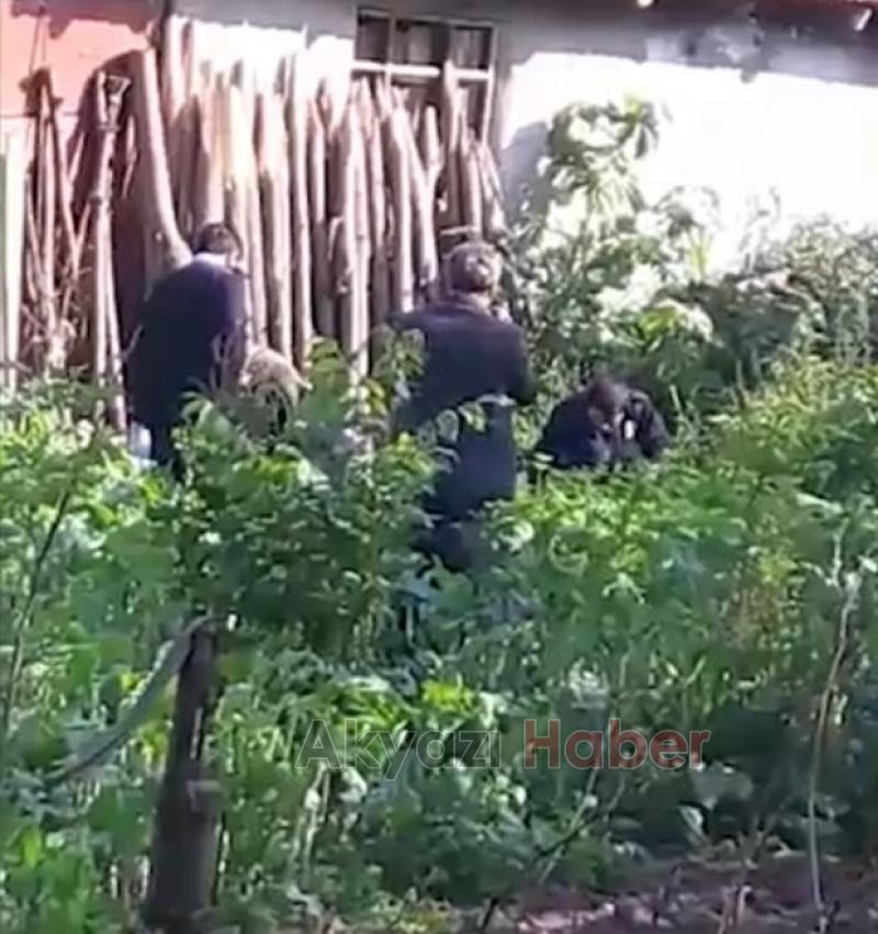 Bahçede 1840 Kök Kenevir Ele Geçirildi