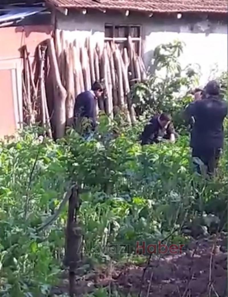 Bahçede 1840 Kök Kenevir Ele Geçirildi