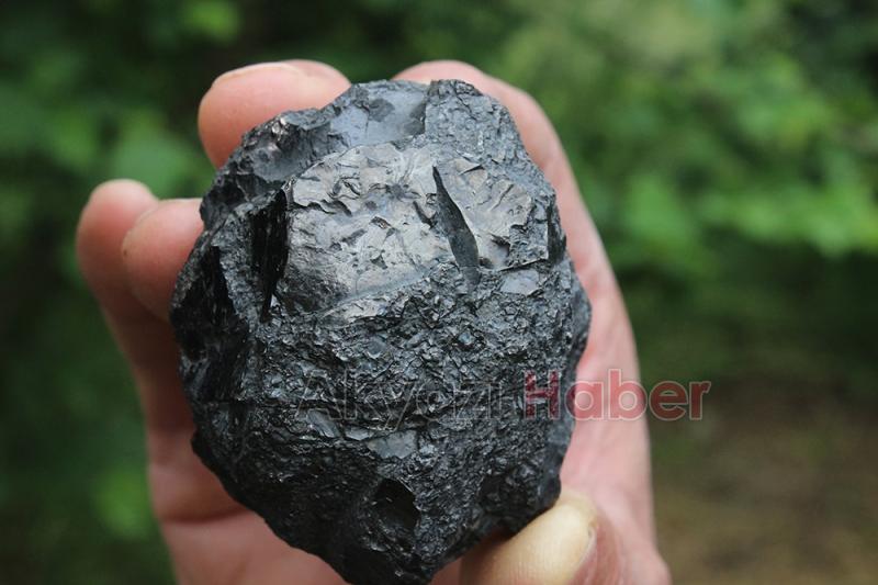 Bahçede bulduğu taş göktaşı mı?