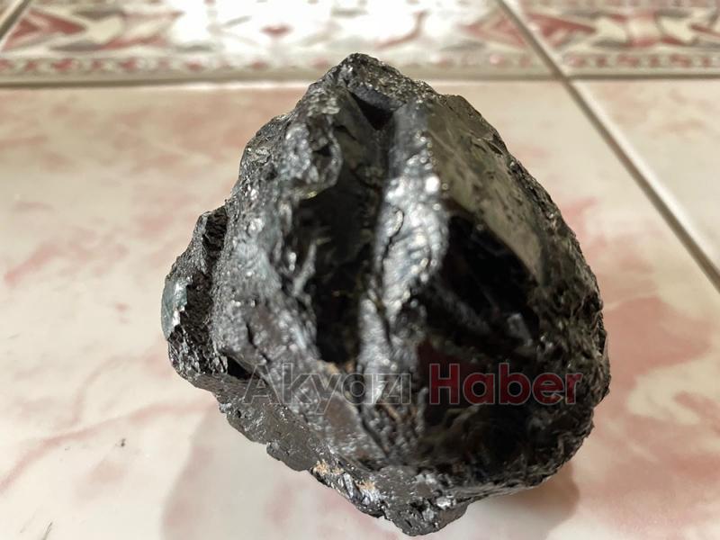 Bahçede bulduğu taş göktaşı mı?