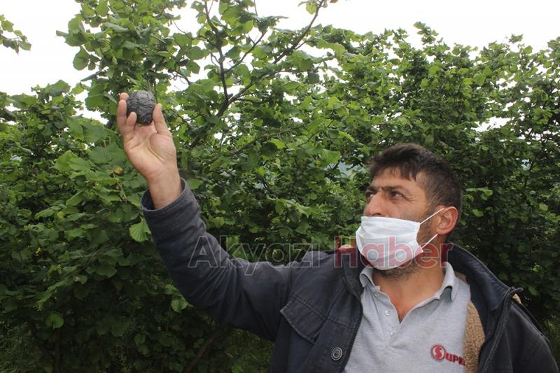 Bahçede bulduğu taş göktaşı mı?