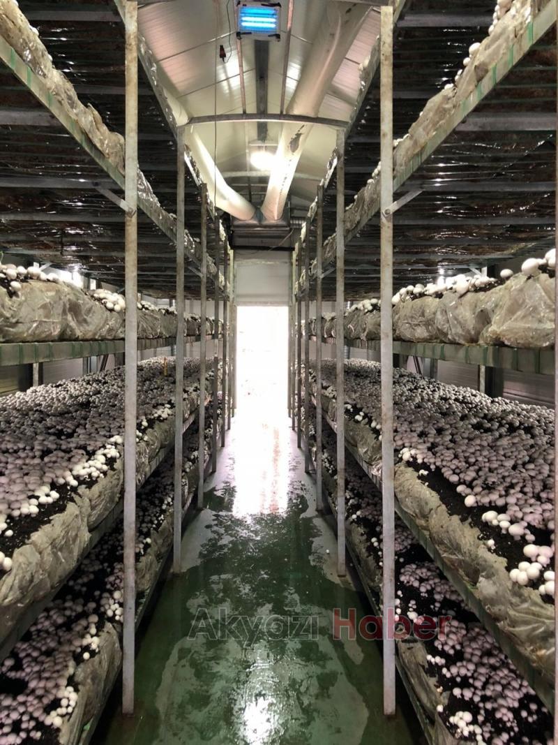 Bakan Fakıbaba, Sgk Hizmet Binası Açılışına Katıldı