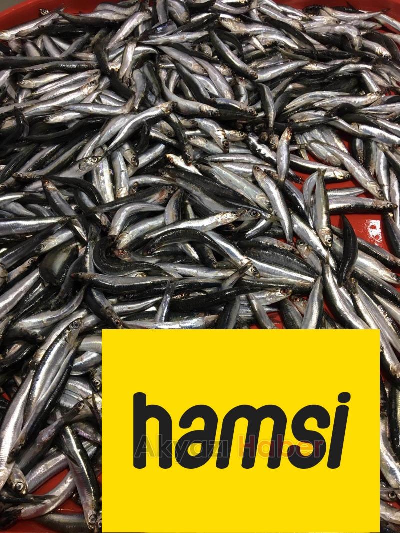 Balık Oltadan Alınır