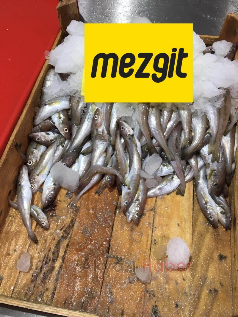 Balık Oltadan Alınır