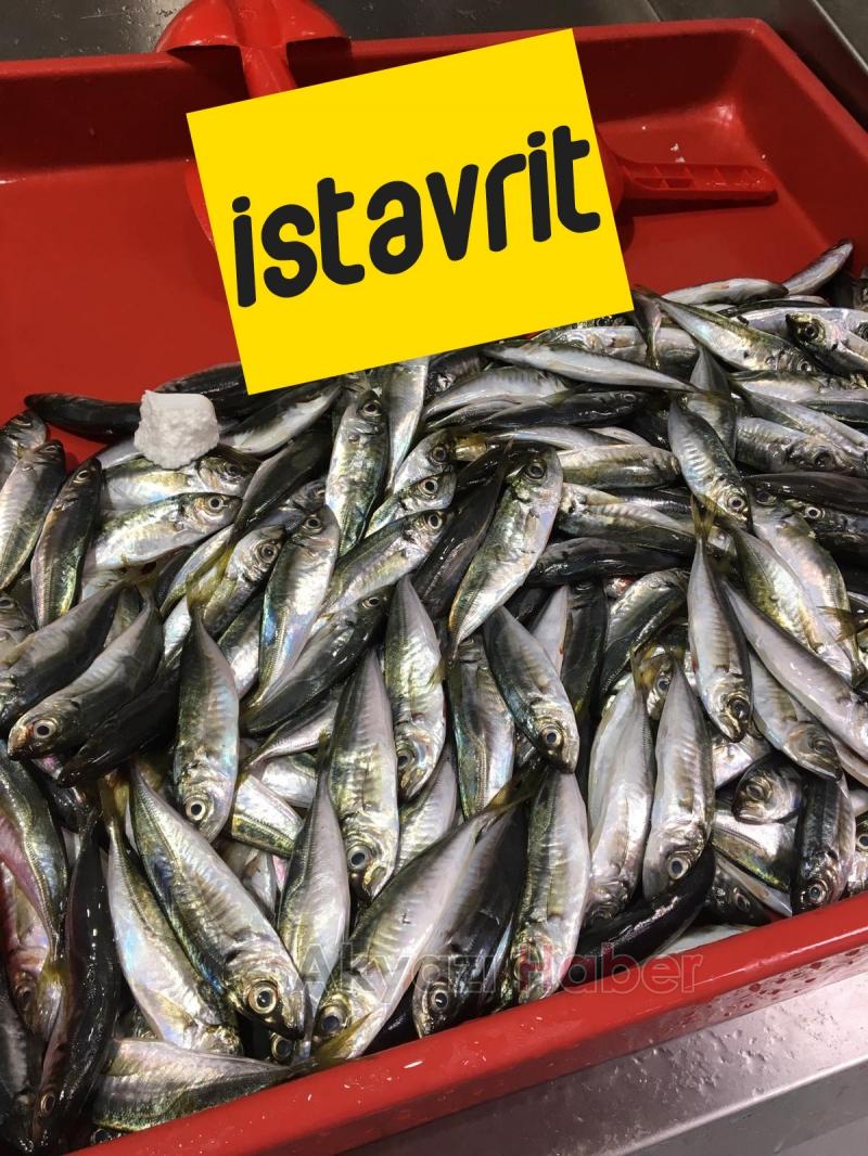 Balık Oltadan Alınır