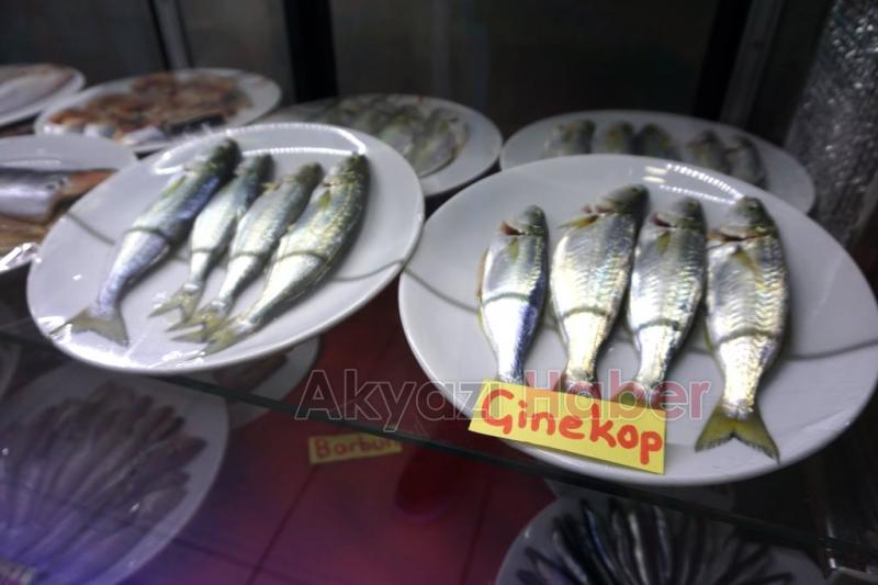 Balık Oltadan Yenir