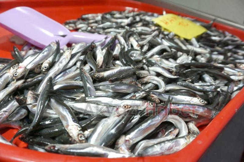 Balık Oltadan Yenir