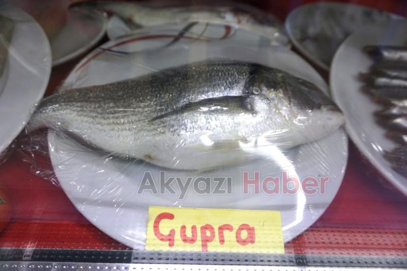 Balık Oltadan Yenir