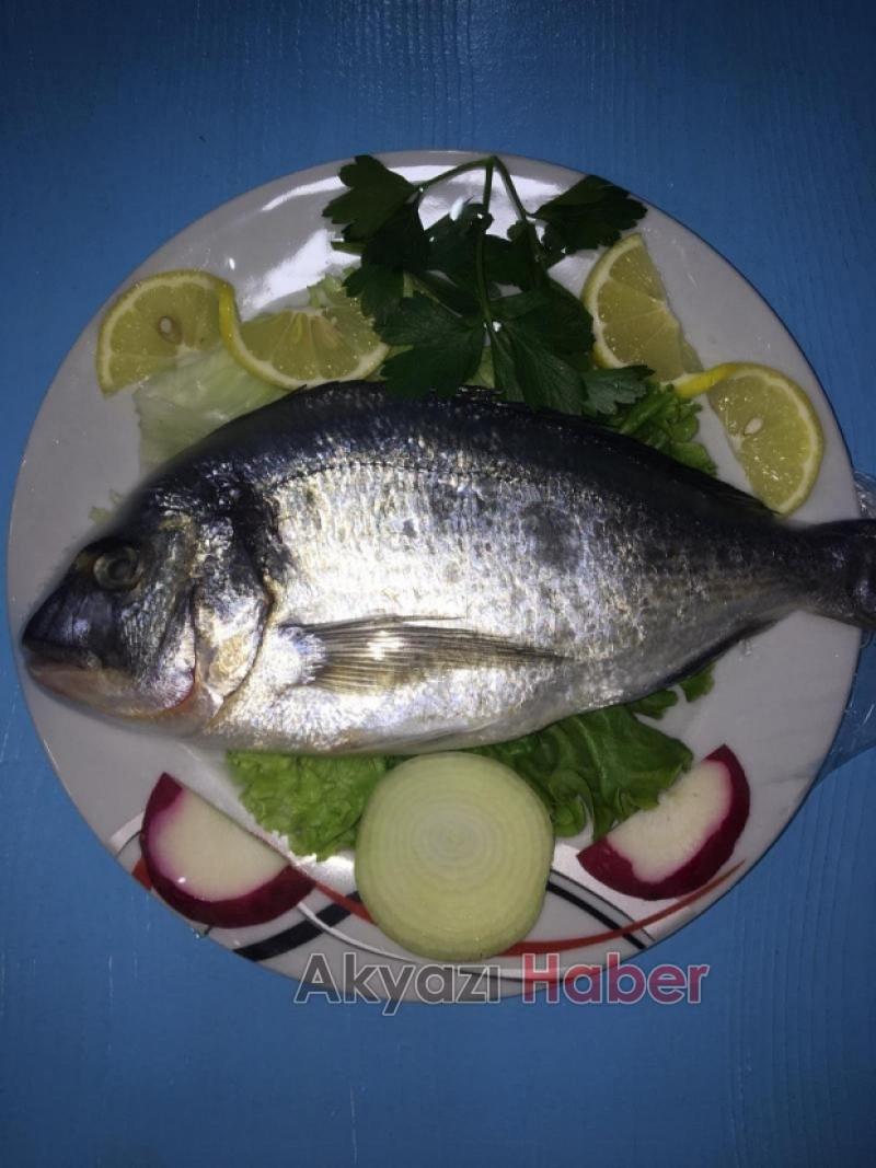 Balık Oltadan Yenir