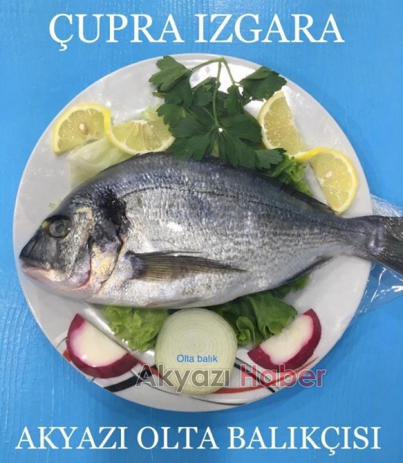 Balık Oltadan Yenir