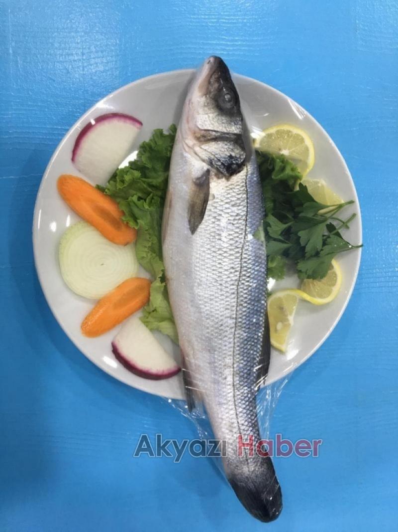 Balık Oltadan Yenir