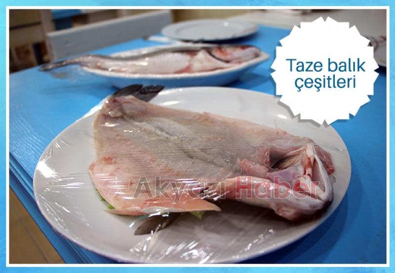 Balık Oltadan Yenir