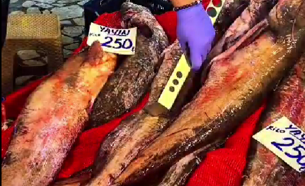 Balık pazarında sıkı denetim