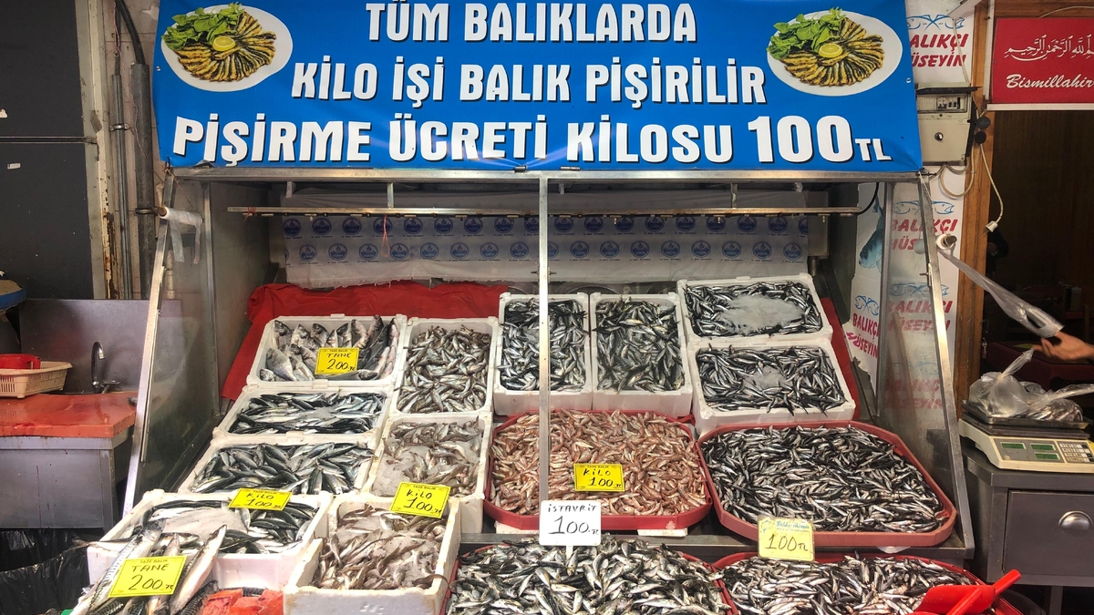 Balıkçı Hüseyin Akyazı Şubesi  Taptaze Balıkta Tek Fiyat Kampanyası Başladı.