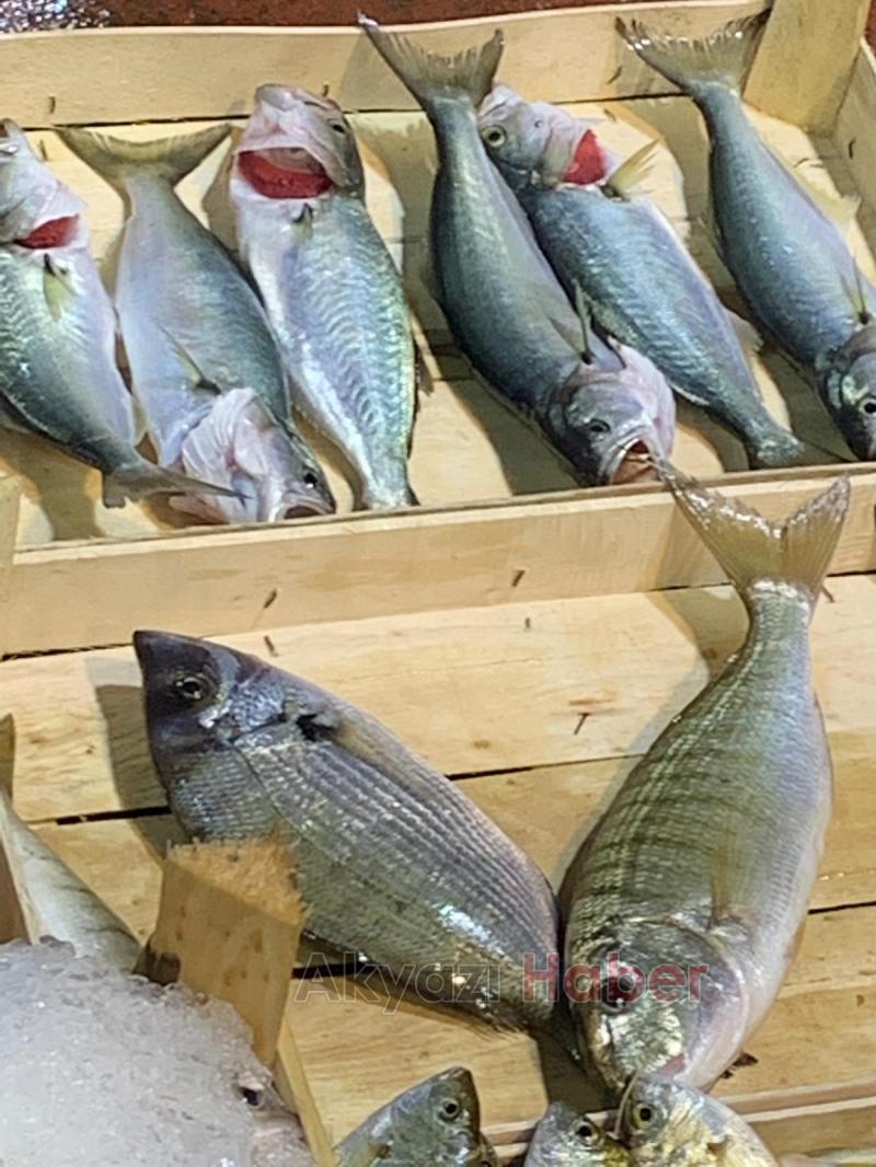 Balıkçı Hüseyin de Balık Sezonu Açıldı 