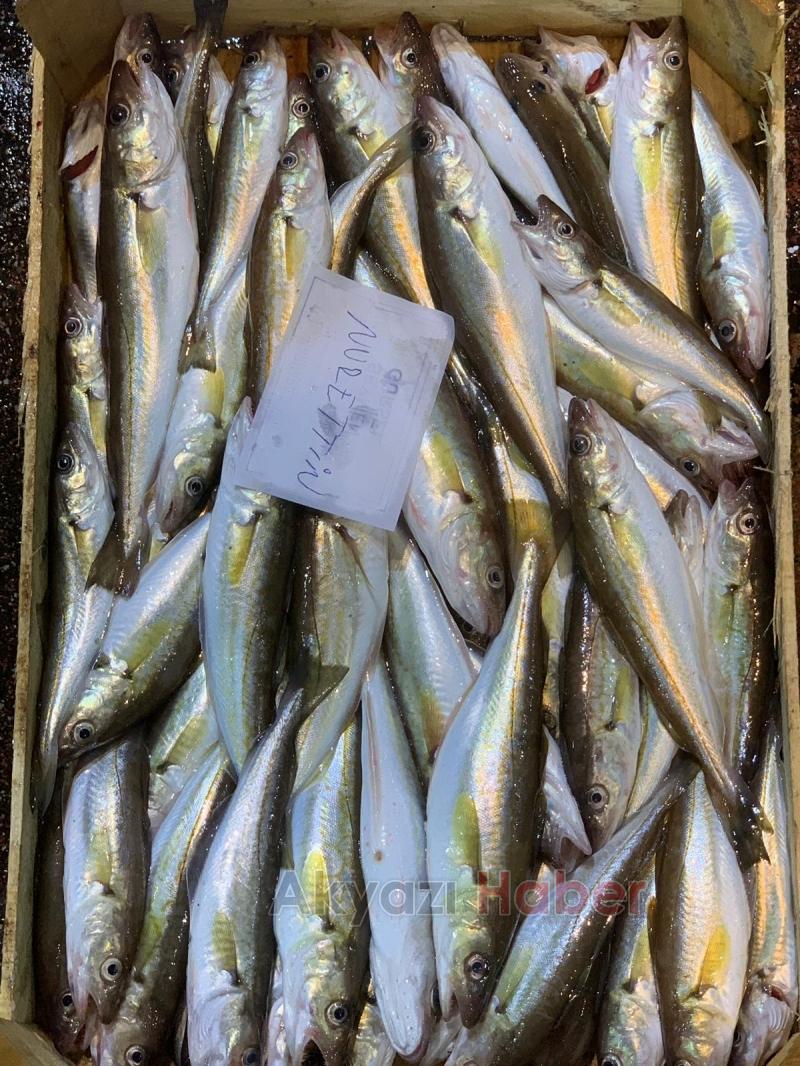 Balıkçı Hüseyin de Balık Sezonu Açıldı 