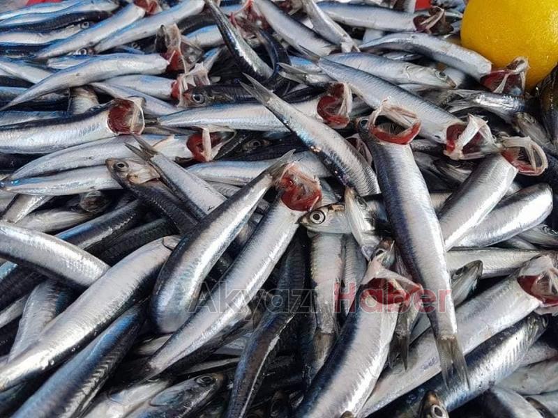 Balıkçı Hüseyin den Vatandaşa indirimli hizmet