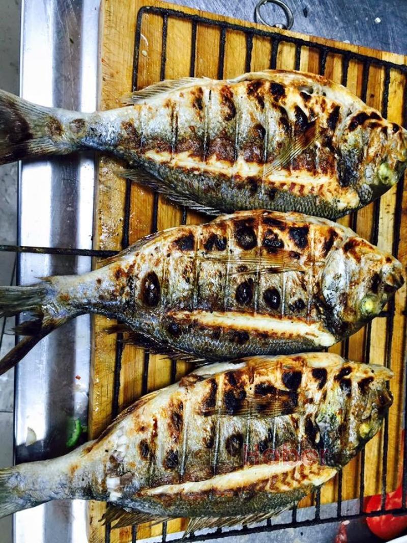 Balıkçı Hüseyin den Vatandaşa indirimli hizmet