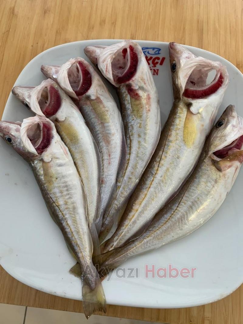 Balıkçı Hüseyin den Vatandaşa indirimli hizmet