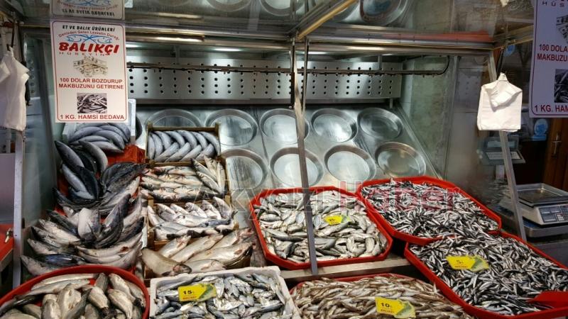 BALIKÇI HÜSEYİNDEN CUMHURBAŞKANININ BOZ DOLARI ÇAĞRISINA DESTEK