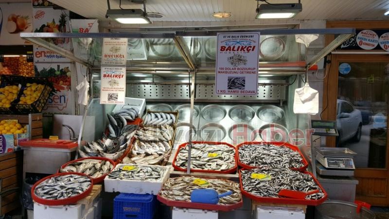 BALIKÇI HÜSEYİNDEN CUMHURBAŞKANININ BOZ DOLARI ÇAĞRISINA DESTEK