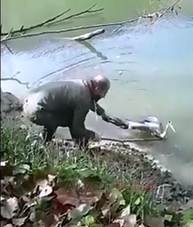 Balıkçı Kuşunu oltadan böyle kurtardı