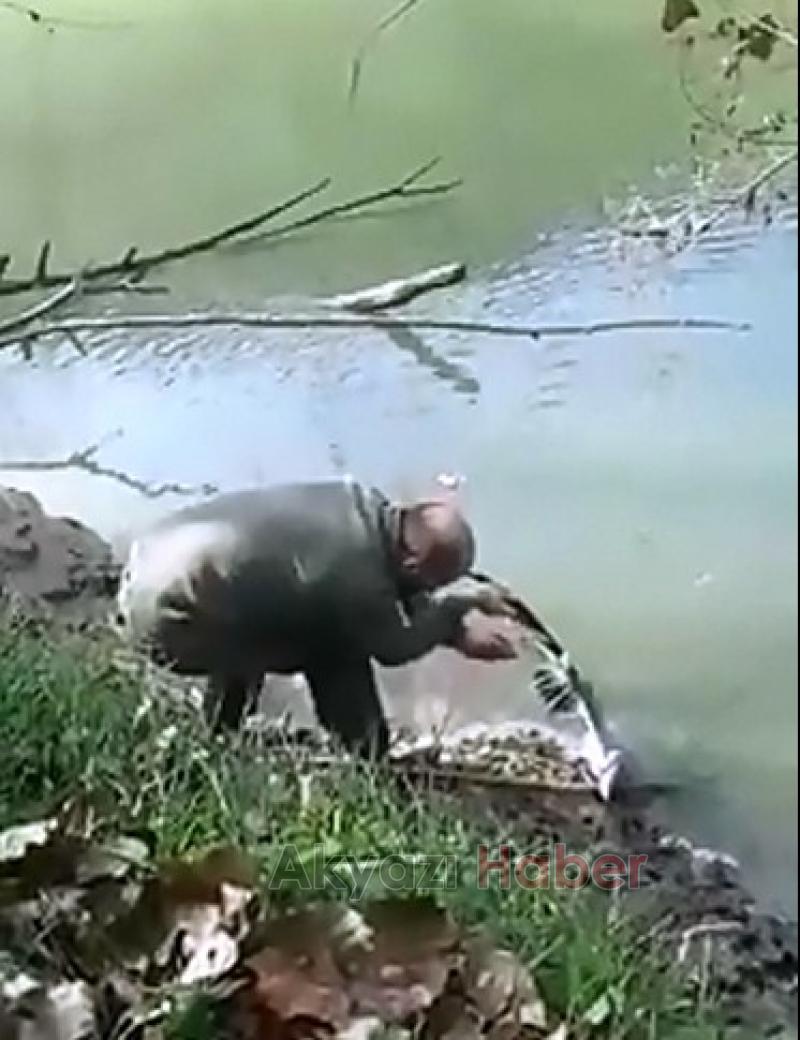 Balıkçı Kuşunu oltadan böyle kurtardı