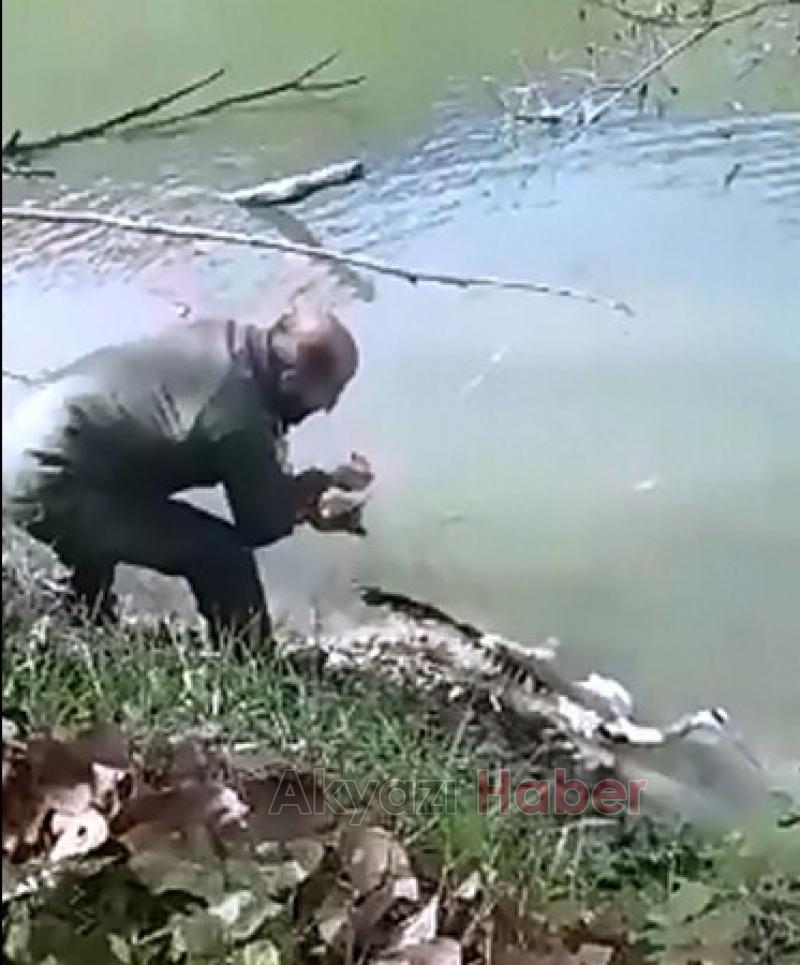 Balıkçı Kuşunu oltadan böyle kurtardı