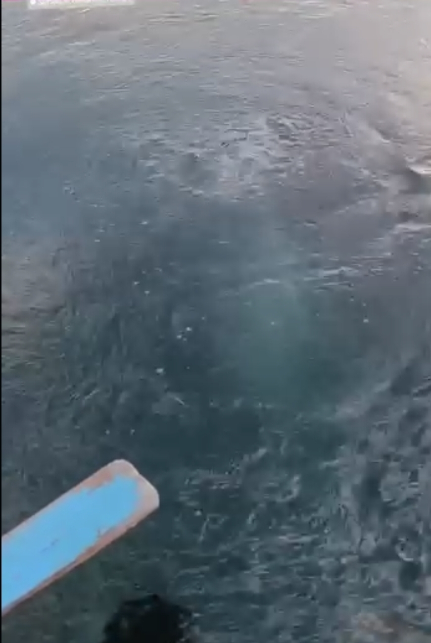 Balıkçılar kayda aldı; Sapanca Gölü’nde gizemli fokurdama