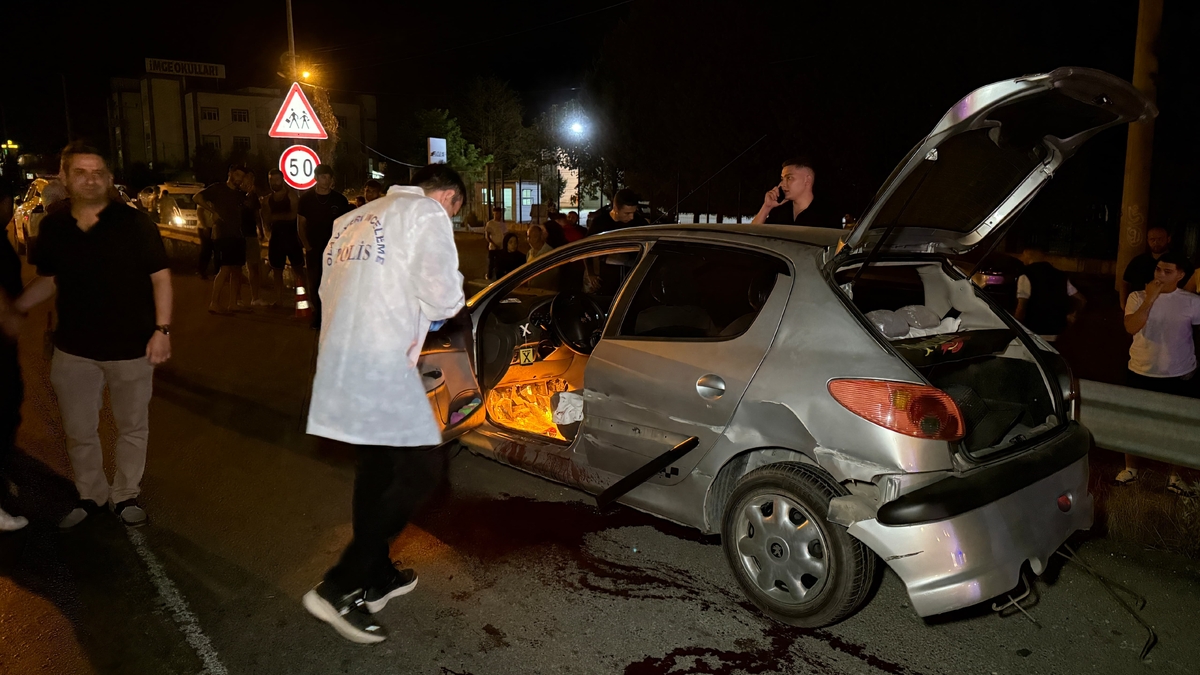 Bariyerlere çarpan otomobilin sürücüsü öldü