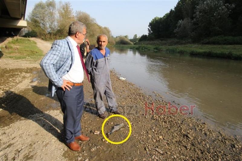 Başkan Akcan ve Kaymakam Kalaylı Mudurnu Deresini İnceledi