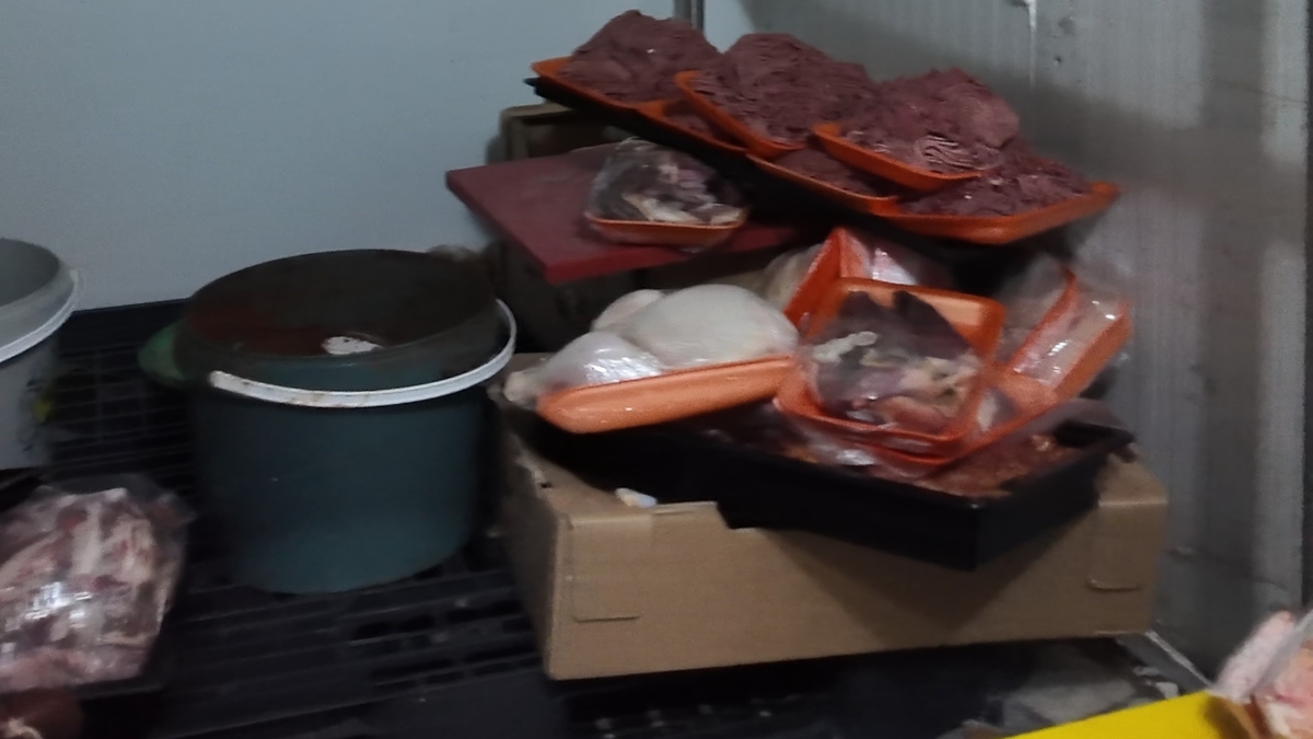 Baskın yapılan kasapta mide bulandıran manzara