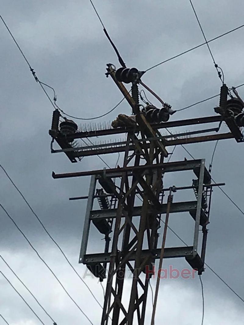 Baykuş mahalleyi karanlığa gömdü