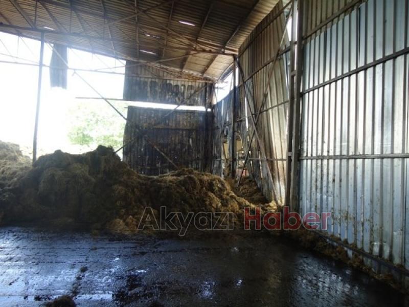 BAYRAKTAR’DAN YANGIN ÇIKAN BESİ ÇİFTLİĞİNDE İNCELEME